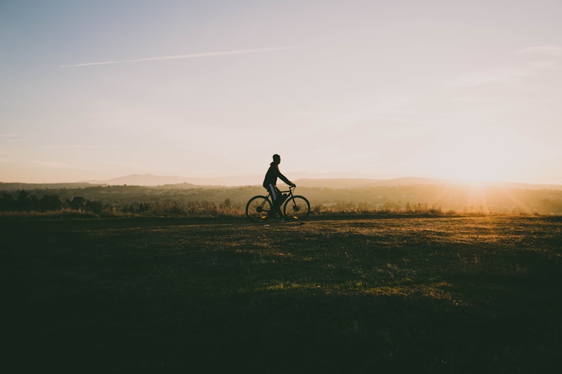 Bike/Car For Multiple Day – Muffin Template